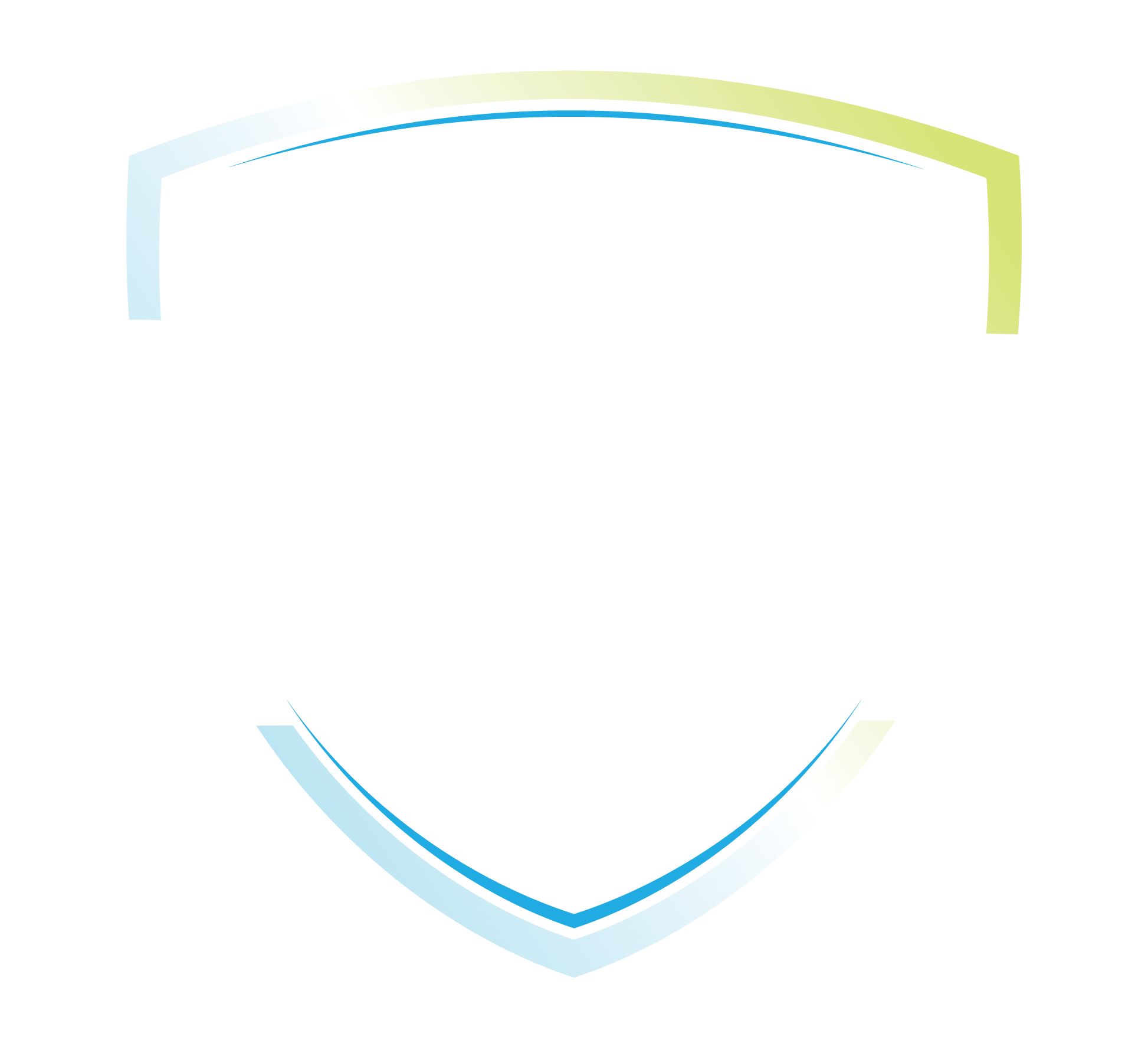 Shield 1